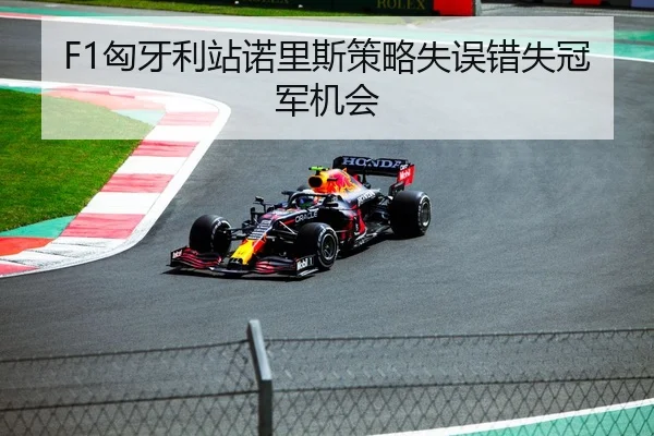 F1匈牙利站诺里斯策略失误错失冠军机会