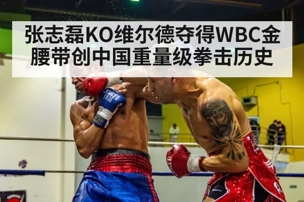 张志磊KO维尔德夺得WBC金腰带创中国重量级拳击历史