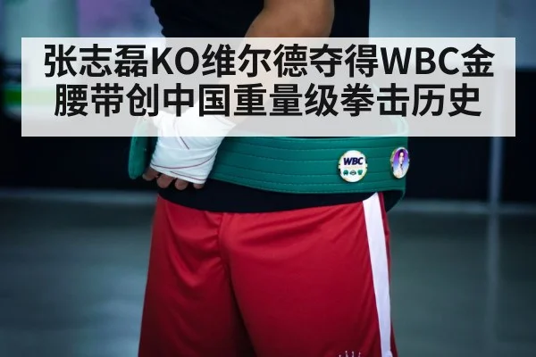 boxing championship belt