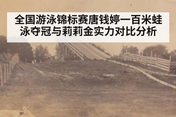 全国游泳锦标赛唐钱婷一百米蛙泳夺冠与莉莉金实力对比分析